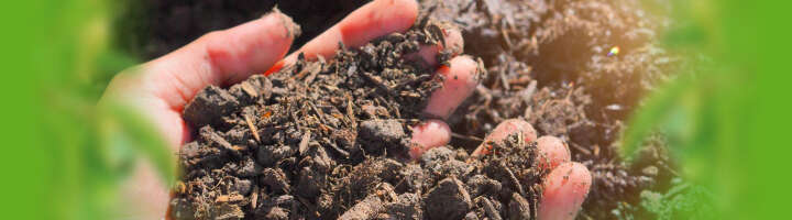 bodenverbesserer kategorieeinstiegsbanner